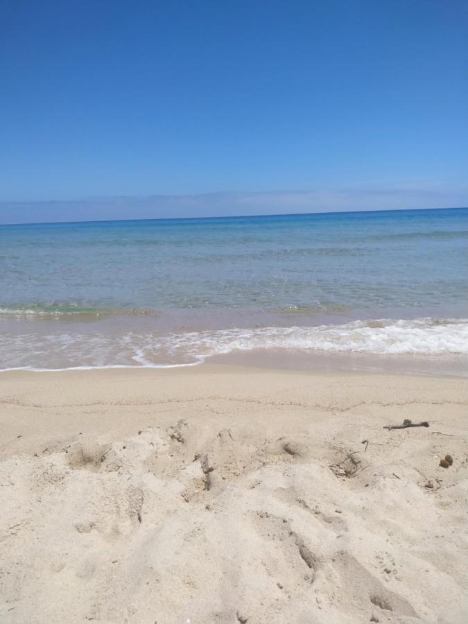 Ginepro Sardegna Mare Blu Fort Village