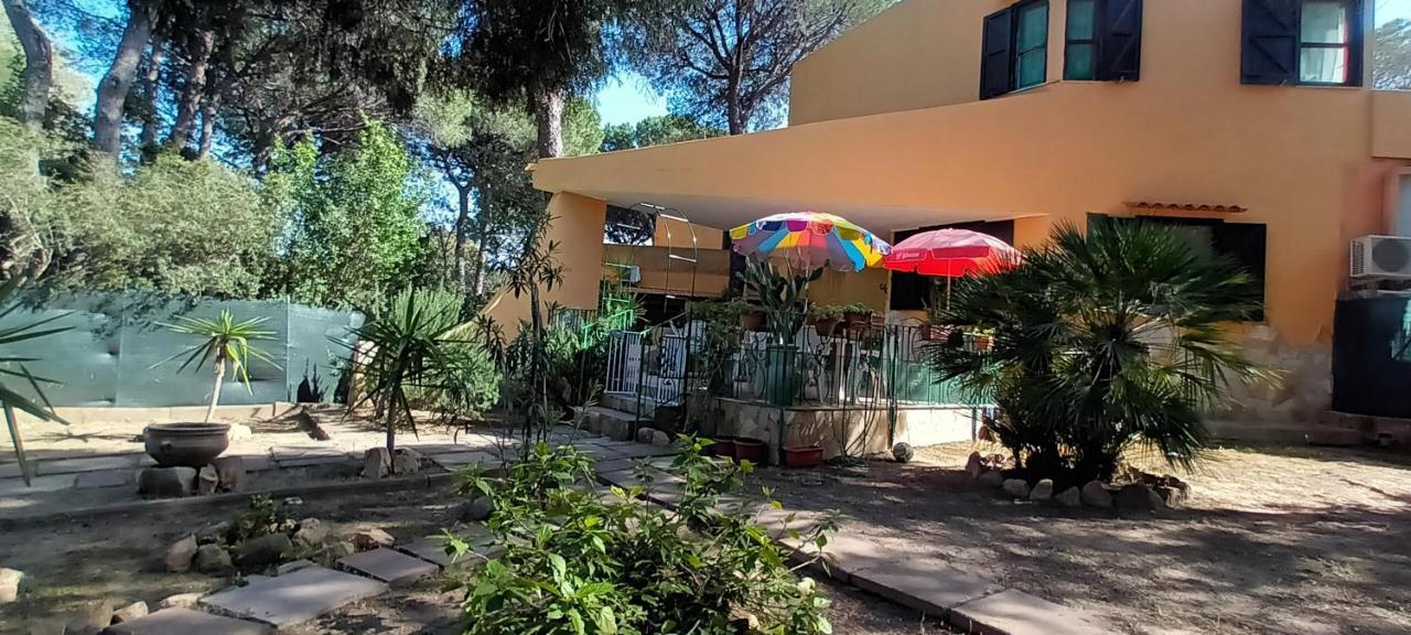 Ginepro Sardegna Mare Blu Holiday home Fort Village