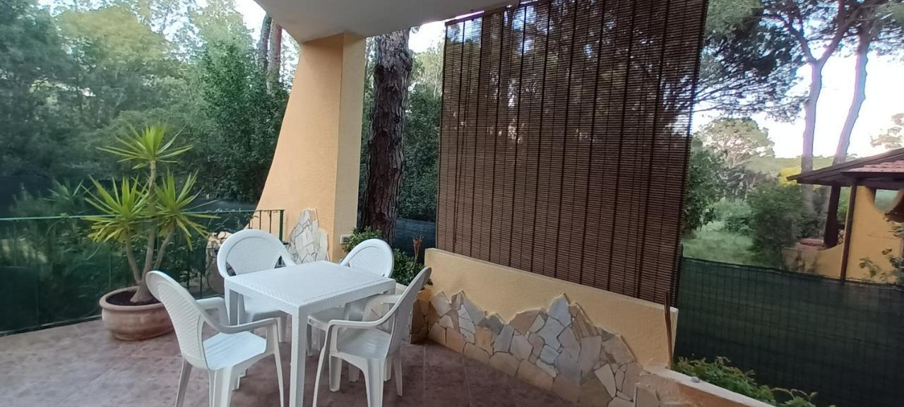 Ginepro Sardegna Mare Blu Fort Village
